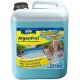 Söll Algenentferner Pool 2,5 Liter AlgenFrei für 25 Qbm