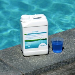 Bayrol Algenentferner  Desalgin Classic 6 Liter Poolwasser