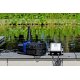 AquaForte 12 V Schwimmteichpumpe 20.000LV regelbar