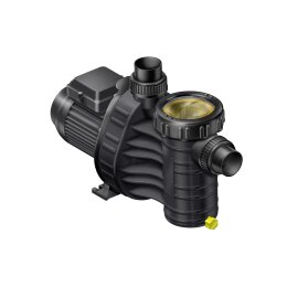 AstralPool Aqua Plus 6 Poolpumpe selbstansaugend 6...